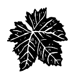 Icon of grape leaf