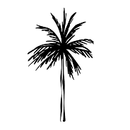 Icon of Palm Tree