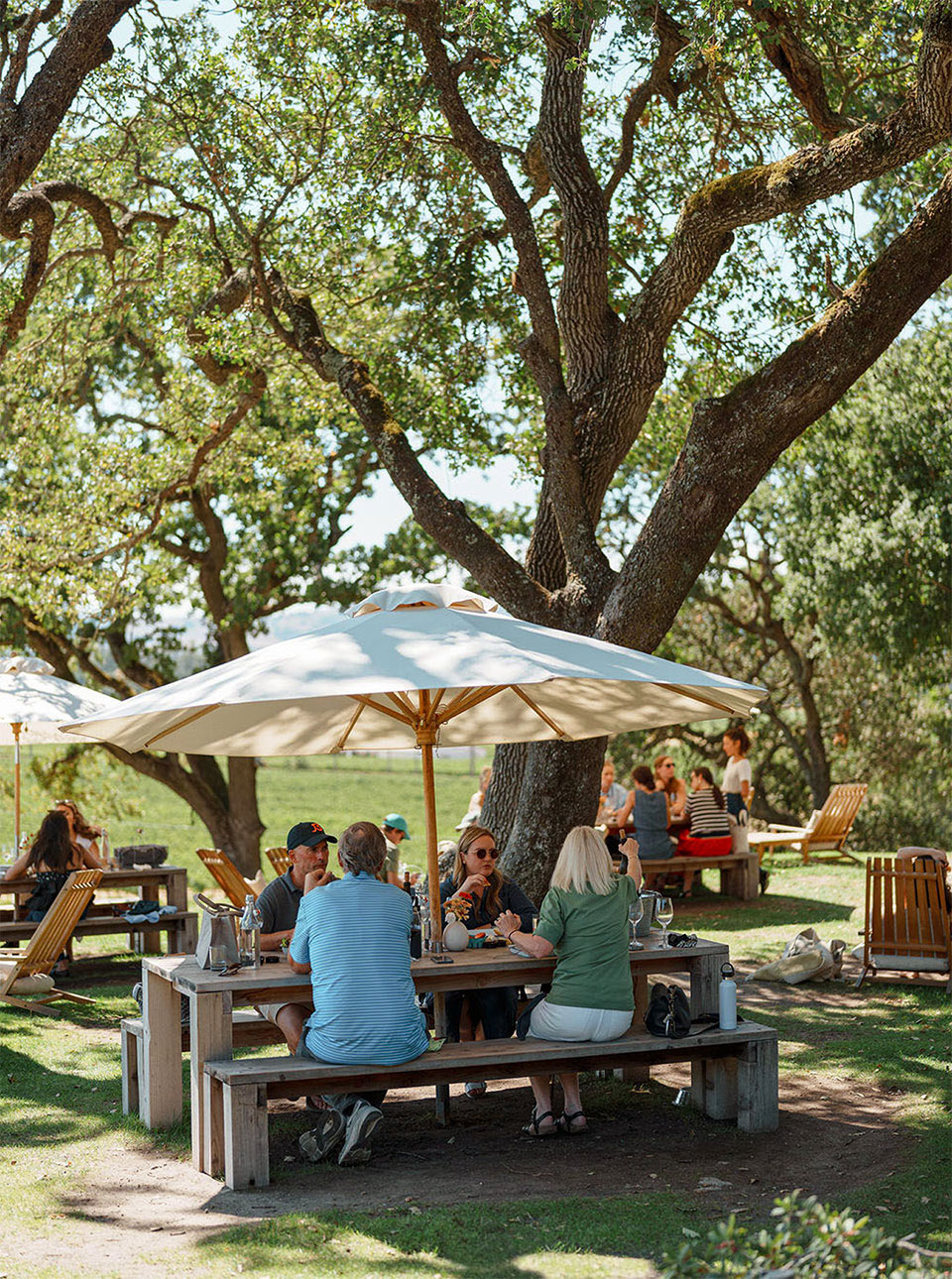 Winery visitors enjoying a glass under big trees and umbrella