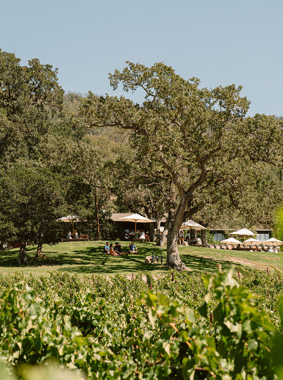View of the gardens