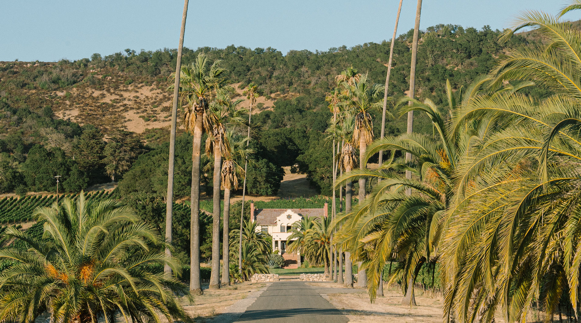 Hacienda entrance with palms on either side